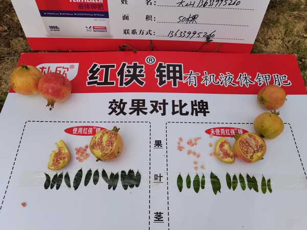 微信图片_20201204161125.jpg