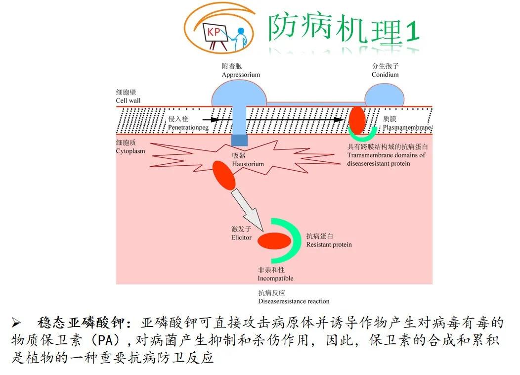 微信图片_20210123093554.jpg